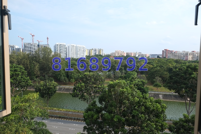 The Rivervale (D19), Condominium #45645952